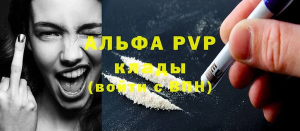 СК Каменногорск