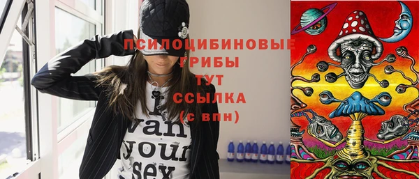 гидра Каменск-Шахтинский