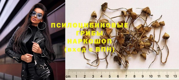 гидра Каменск-Шахтинский