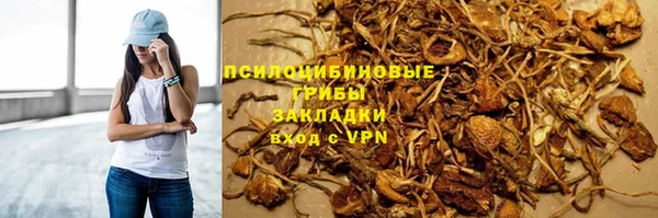 спиды Каменка