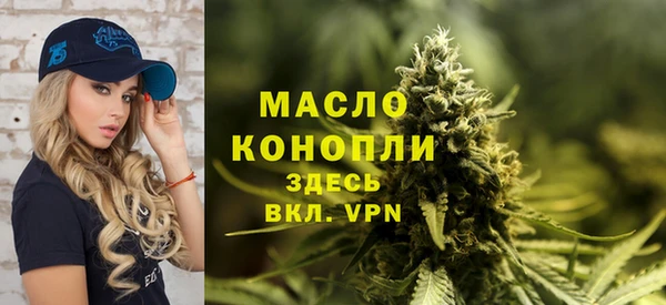 спиды Каменка