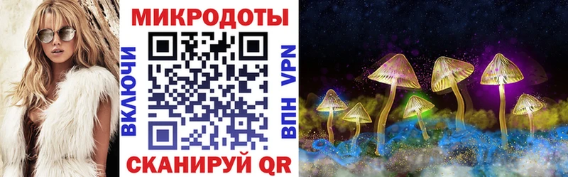 Купить где  Инта  Галлюциногенные грибы Psilocybine cubensis 